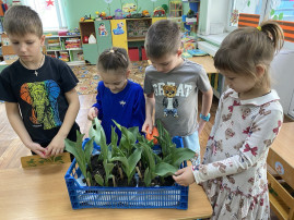 Акция «Клумбы Победы» Акция «Клумбы Победы».